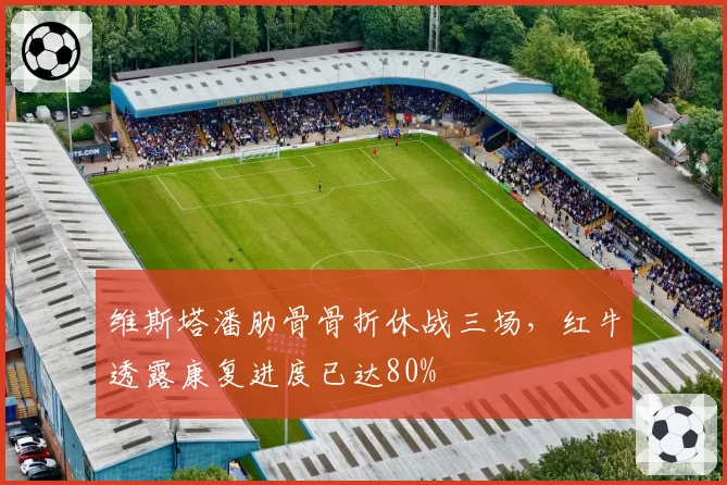 维斯塔潘肋骨骨折休战三场，红牛透露康复进度已达80%