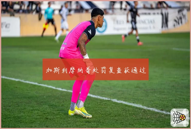 加斯利摩纳哥处罚复查获通过