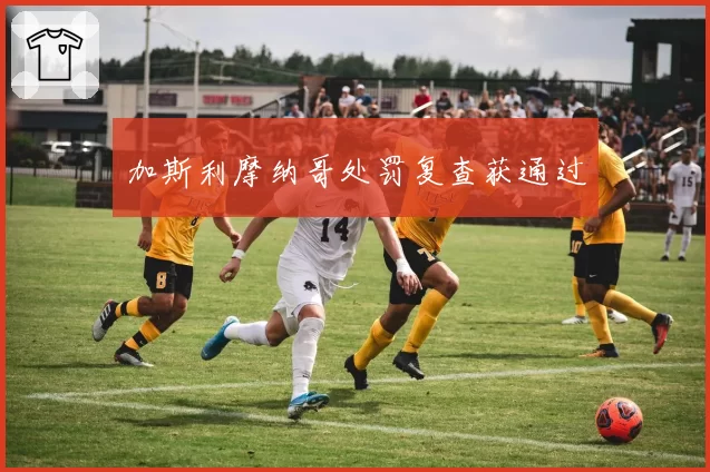 加斯利摩纳哥处罚复查获通过