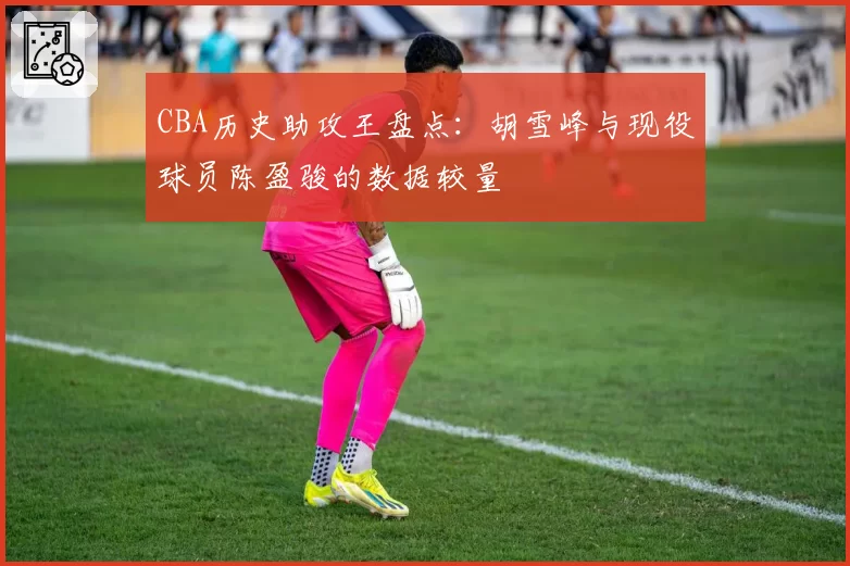 CBA历史助攻王盘点:胡雪峰与现役球员陈盈骏的数据较量