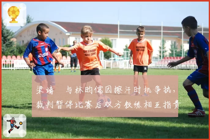 梁靖崑与林昀儒因擦汗时机争执，裁判暂停比赛后双方教练相互指责